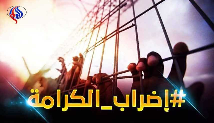 مصر تنتفض نصرة لأسرى معركة الحرية والكرامة