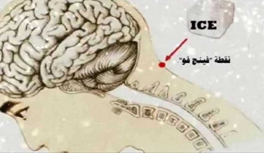 هذا ما سيحدث لك إذا وضعت مكعب الثلج على هذه النقطة من جسمك!