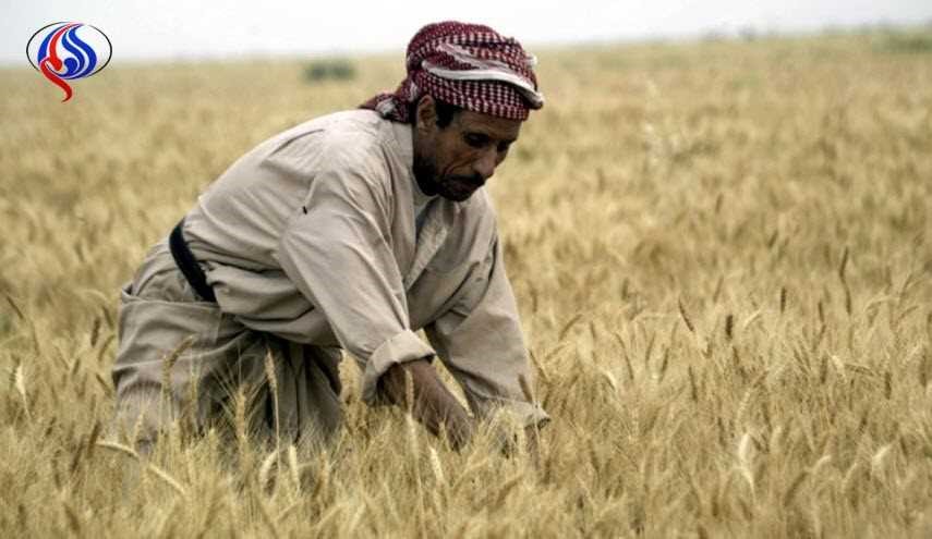 الديمقراطي الكردستاني يتهم بغداد بـ