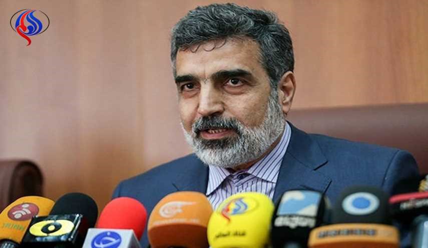 كمالوندي: إعادة تصميم مفاعل اراك يجري وفق البرنامج المحدد