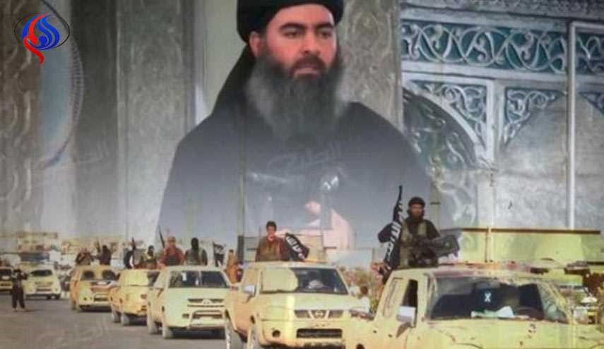 عدمية الإرهاب .. 