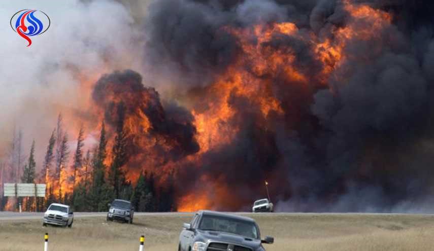 مأساة تشهدها البرتغال... حرائق غابات تودي بحياة 62 شخصا