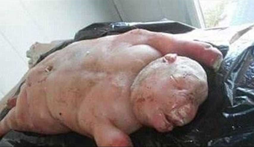 عنزة تلد مولودا نصفه بشر والأخر حيوان