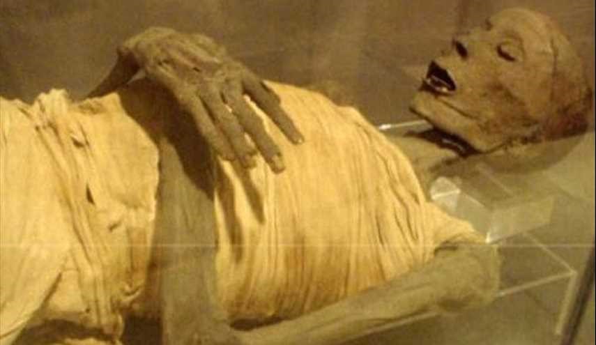 تشريح وتحليل الحمض النووي لرأس وعظام وأسنان 151 مومياء