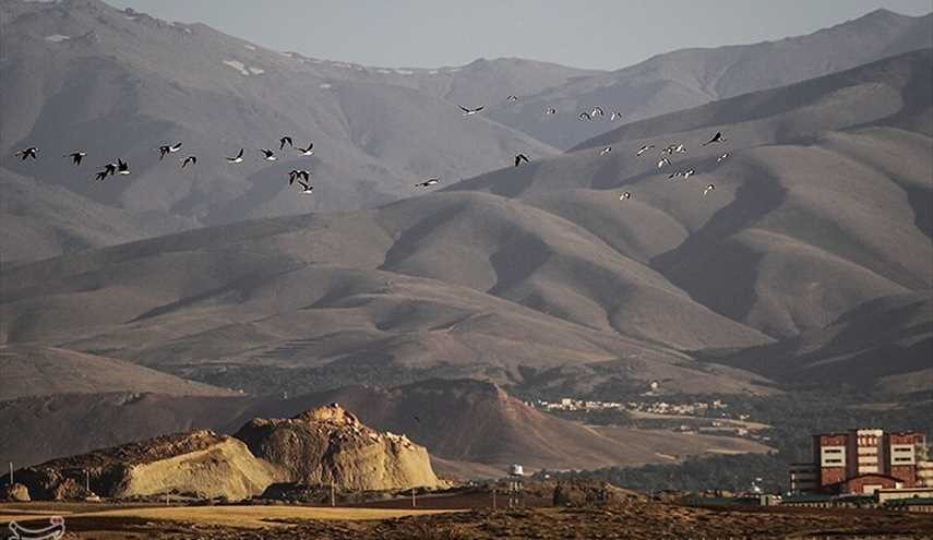 تصاویری از مهاجرت 