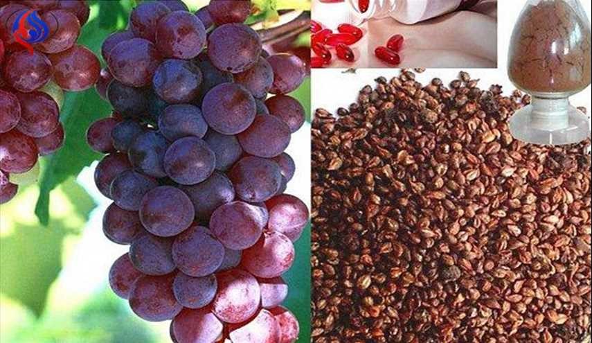 بذور العنب ..بعد هذا الخبر لن تتركوها أبدا.. تقضي على أخطر الامراض!