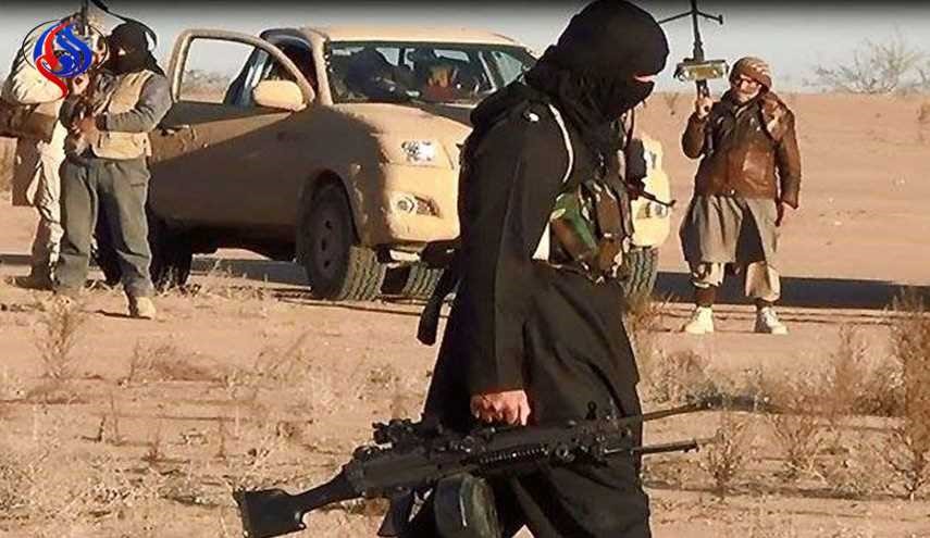 بالصورة.. 