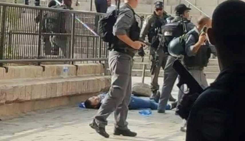 مذيعة العربية 