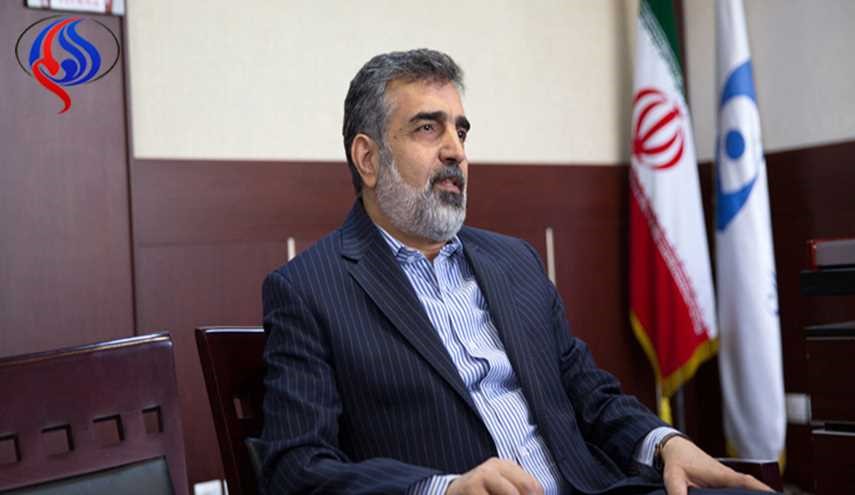 ايران وروسيا تبحثان ابعاد التعاون في مجال الصناعة النووية