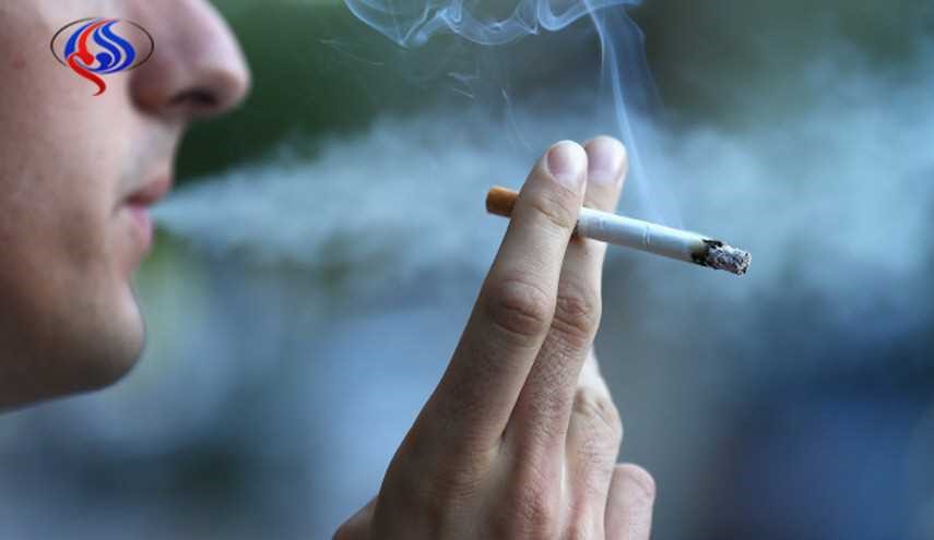 أيهما أشد فتكاً على الإنسان: السجائر أو النرجيلة؟