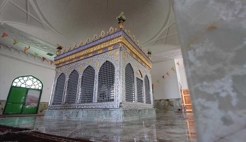 جولة قافلة خدام العتبة الرضوية في خراسان الجنوبية  صور