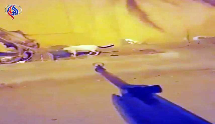 الشرطة السعودية تعتقل 