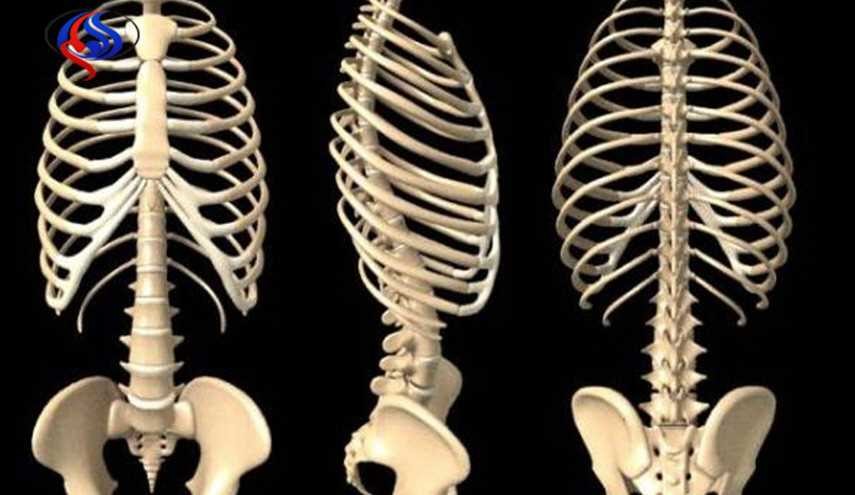 اطعمة تساعد على تجديد العظام وتحسين النظر والذاكرة بنسبة 70%!