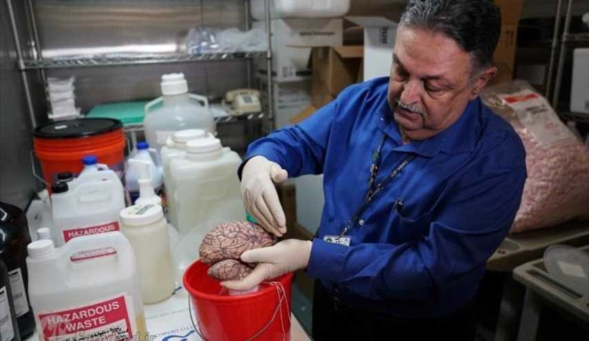 بنك العقول  ...