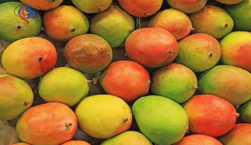 حيلتان لنضج الفاكهة الخضراء في يوم واحد!