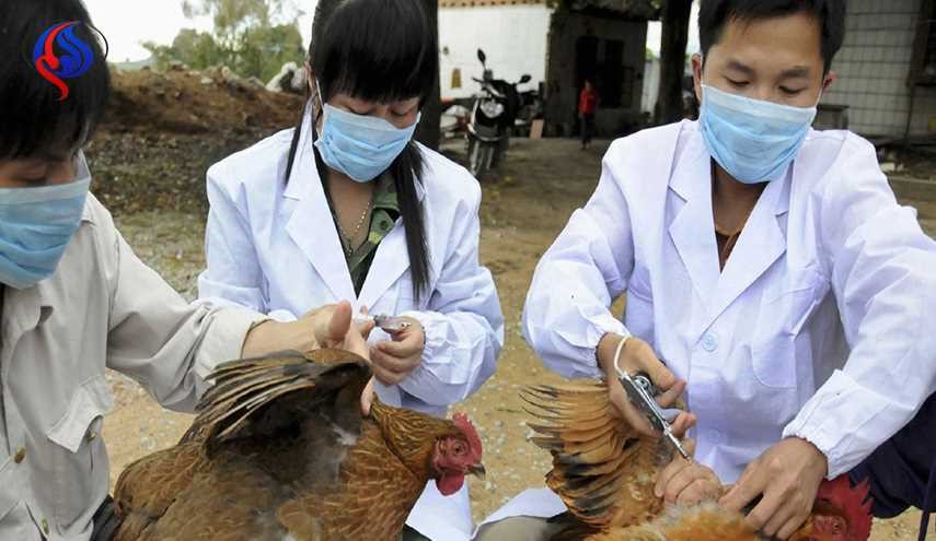 لهذا السبب الخطير ..الإمارات تحظر استيراد الدواجن الحية من الفلبين