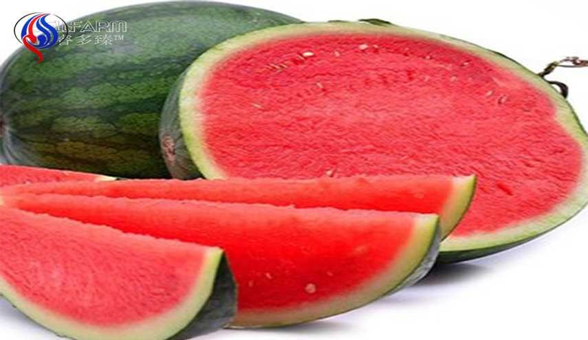 اذا رأيت هذه العلامات على البطيخة.. ارمها فوراً!