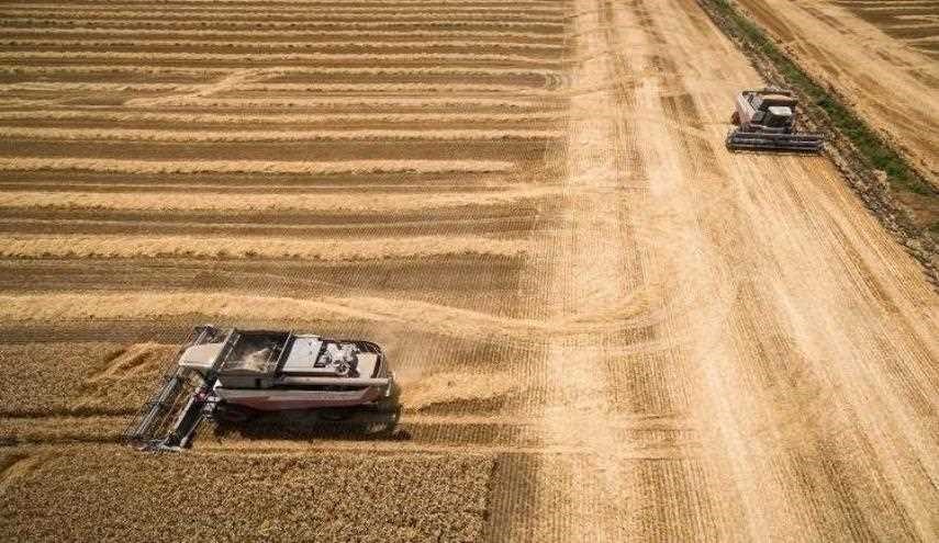 روسيا توضح سبب إلغاء صفقة القمح مع سوريا
