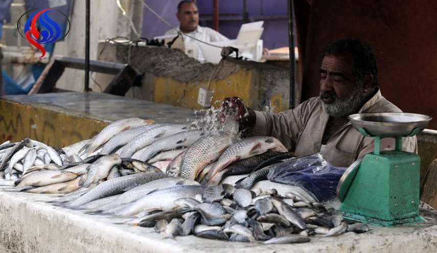 شاهد .. أسماك تُمسك باليد على شاطئ دجلة وسط بغداد