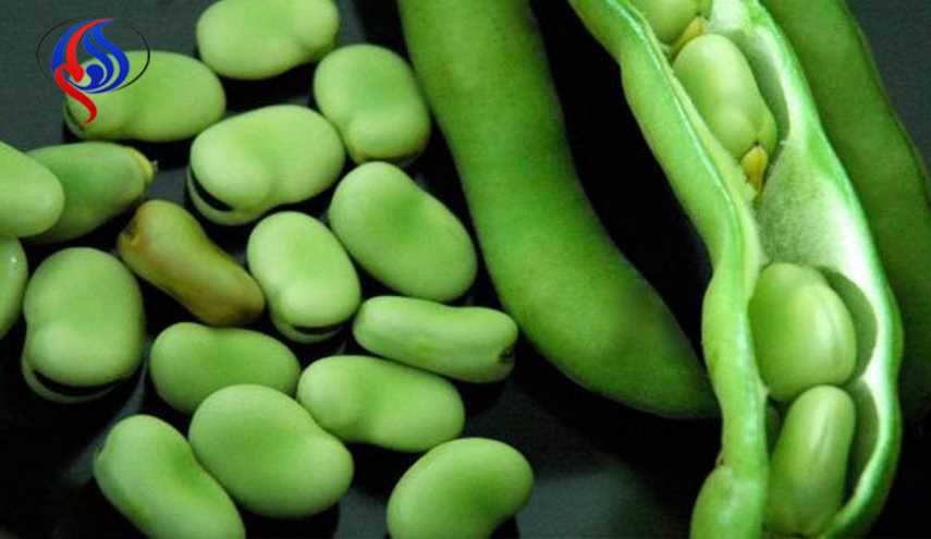 الفول الأخضر فوائد كثيرة لن تخطر على بالكم!