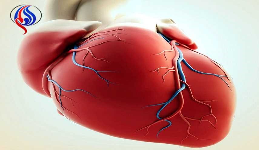 لأول مرة .. باحثون ينجحون في تعديل الجين المسئول عن اعتلال عضلة القلب