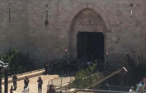 يك صهيونيست در عمليات شهادت طلبانه يك زن فلسطينی زخمی شد+فیلم
