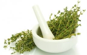 خواص درمانگر گیاه آویشن که از آن بی خبر هستید 