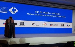25 مشروعا استثماريا بين روسيا والسعودية