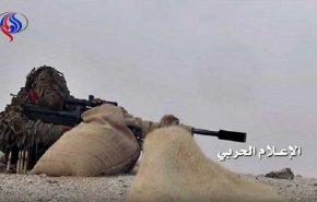 قنص 13 مرتزقاً سعوديا في اليمن

