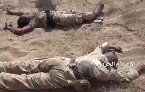 قتلى وجرحى بصفوف المرتزقة في حمير بتعز