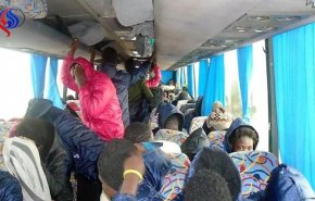 تعرف على عدد المهاجرين المرحلين من مدينة صبراتة