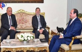هذا ما أكده السيسي لمنسق الاتحاد الاوروبي..