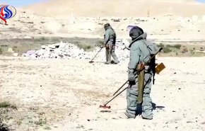 شاهد.. فرق الهندسة تطهر ديرالزور من الالغام