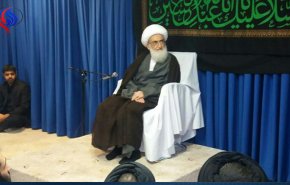 آية الله نوري همداني: الزيارة الاربعينية حركة كبرى بلا حدود
