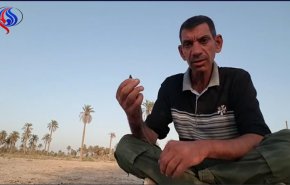 بالفيديو... تحذيرات من الخبيث الاسود في ديالى