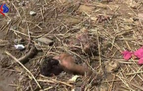 شاهد.. صور مروعة من مجزرة سعودية في عبس اليمنية