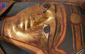 بالصور...العثور على مومياء في الفيوم بمصر