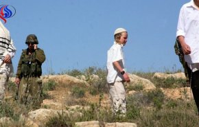 إصابة طفلين فلسطينيين باعتداء مستوطنين على منازل بالخليل
