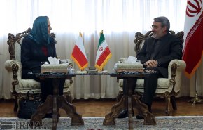 دیدار دستیار سیاست خارجی نخست وزیر لهستان با وزیر کشور