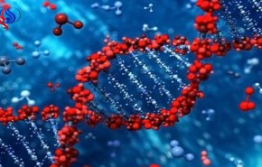اكتشاف بروتين يحارب تطور الفيروسات وبعض أنواع السرطان
