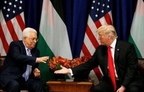 المصريون بهولندا يحذرون من نقل سفارة أمريكا للقدس