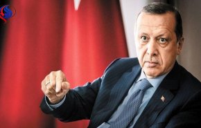 إردوغان: عناصر 