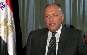 شكري يبرز مواقف مصر من القضايا الإقليمية