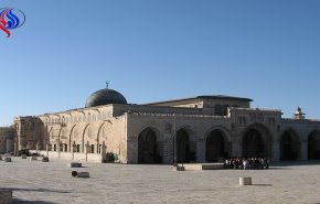 بعد صمتها إزاء قرار ترامب.. هل تغير موقف الهند من القضية الفلسطينية؟!