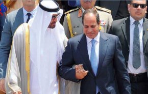 محلل مصري لأبناء زايد: 