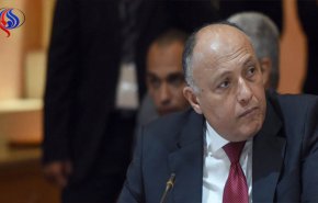 مصر تؤكد لإثيوبيا قلقها من تعثر المسار الفني لمفاوضات سد النهضة
