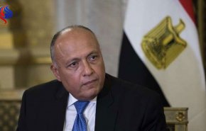 شكري في زيارة لأبوظبي للتنسيق