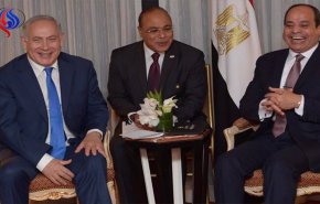 مصر تتهم نيويورك تايمز بالفبركة بشأن 