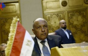 شكري: مصر ستحارب المقاتلين الأجانب في إفريقيا