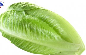 مشروب الخس.. لإنقاص الوزن سريعاً!